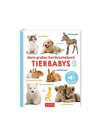 ARS EDITION VERLAG | Mein großes Geräuschebuch - Tierbabys | 